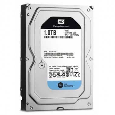Western Digital HDD SATA 1TB (WD1002F9YZ)