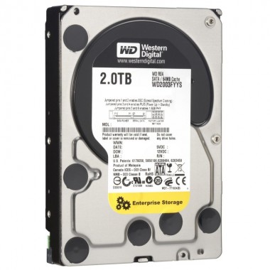 WD2002FYPS RE4-GP 2TB (WD2002FYPS)