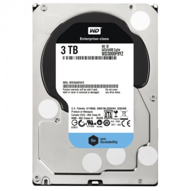 Western Digital HDD SATA-III 3000Gb NAS Edition (WD3000F9YZ)